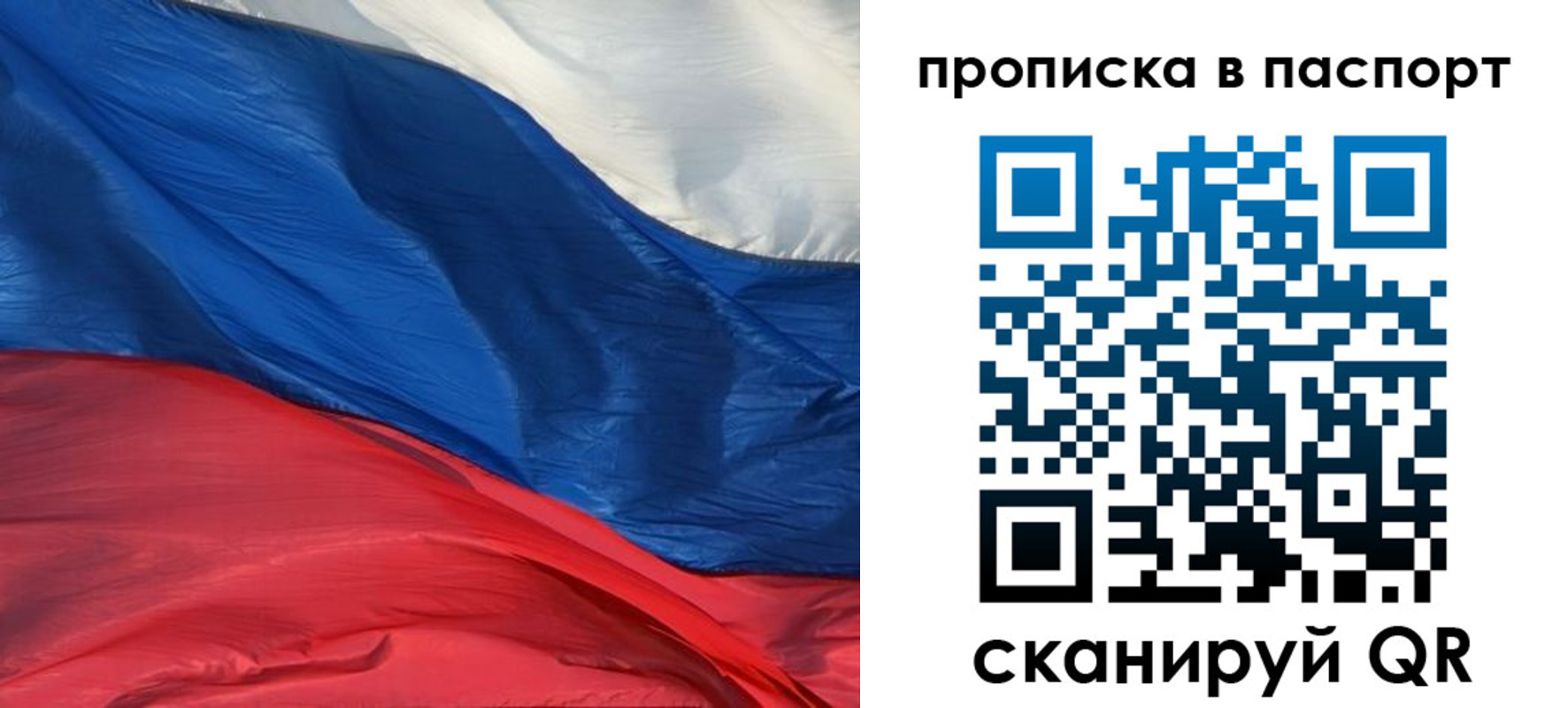 найти адрес прописки в Светогорске